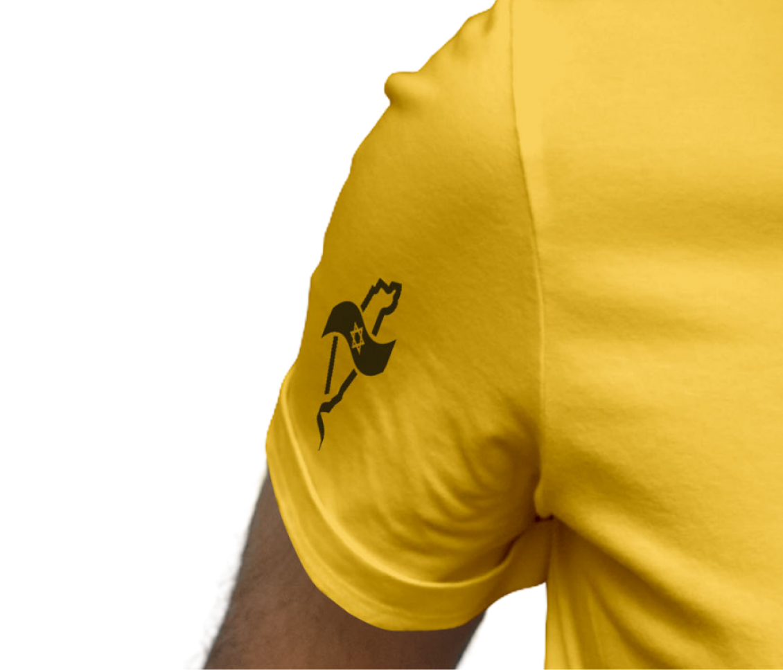 iron t-shirt epaul