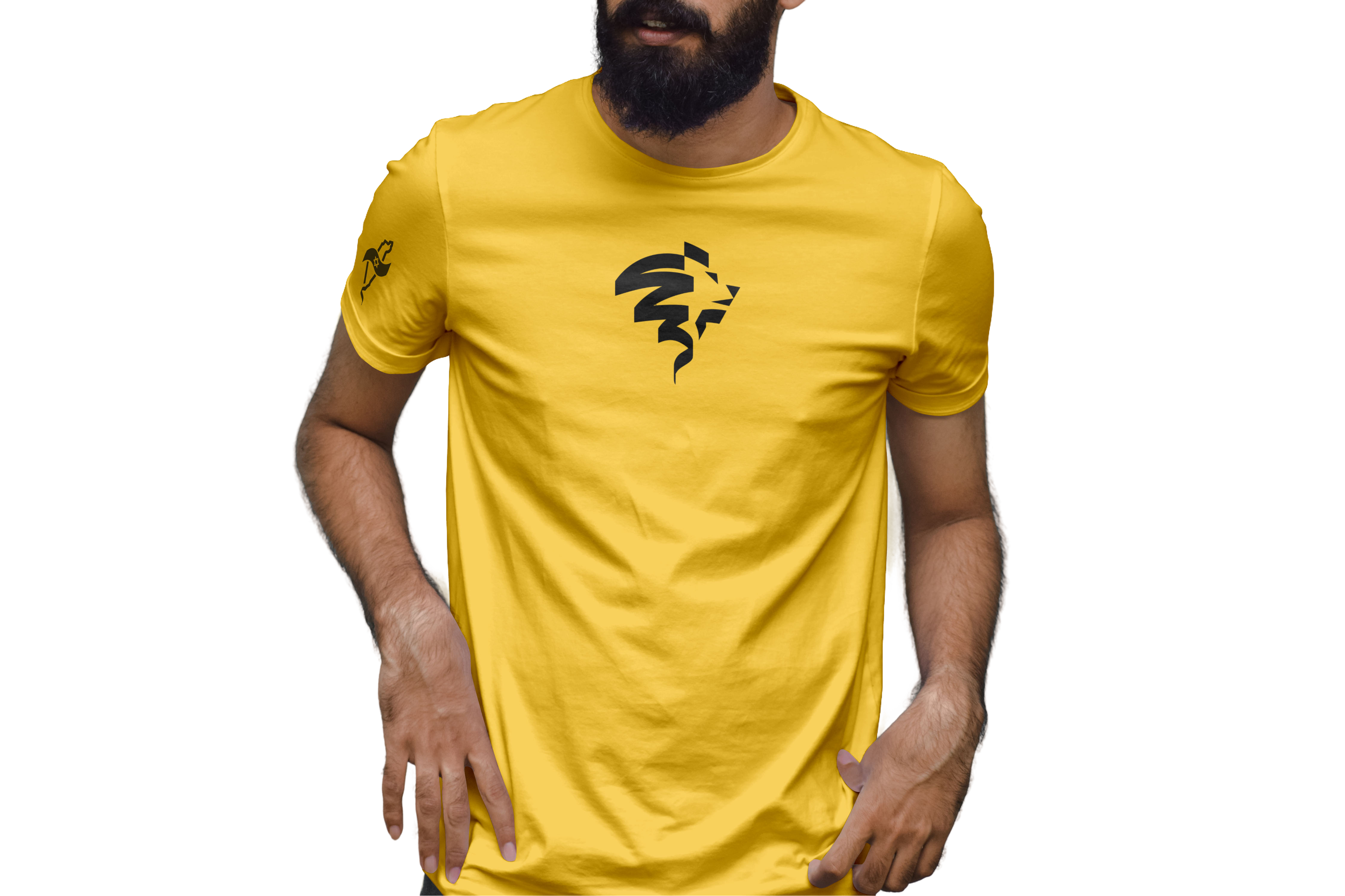 iron t-shirt devant